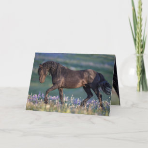Wild Horse Greeting Card - Galaxy Trots
