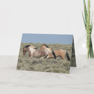 Wild Horse Greeting Card Two Colourful Stallions