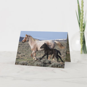 Wild Horse Greeting Card - Wild Mare and Foal Run