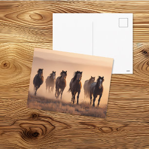 Wild Horse Herd Western Landscape Art Postcard