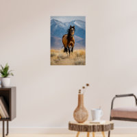 Wild Horse in Mountain Plains