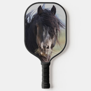 Wild Horse Jet Stream Pickleball Paddle