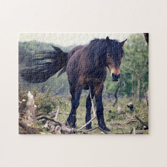 Wild Horse Jigsaw Puzzle (Horizontal)