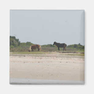 Wild Horse magnet