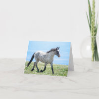 Wild Horse Mica/Mato Ska Running