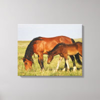 Wild Horse Mother and Colt Grazing