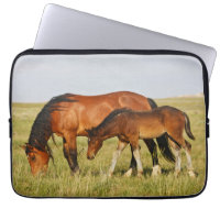 Wild Horse Mother and Colt Grazing