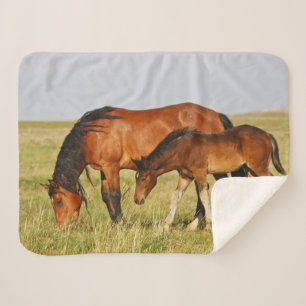 Wild Horse Mother and Colt Grazing Sherpa Blanket