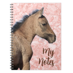 Wild Horse My Notes Notebook