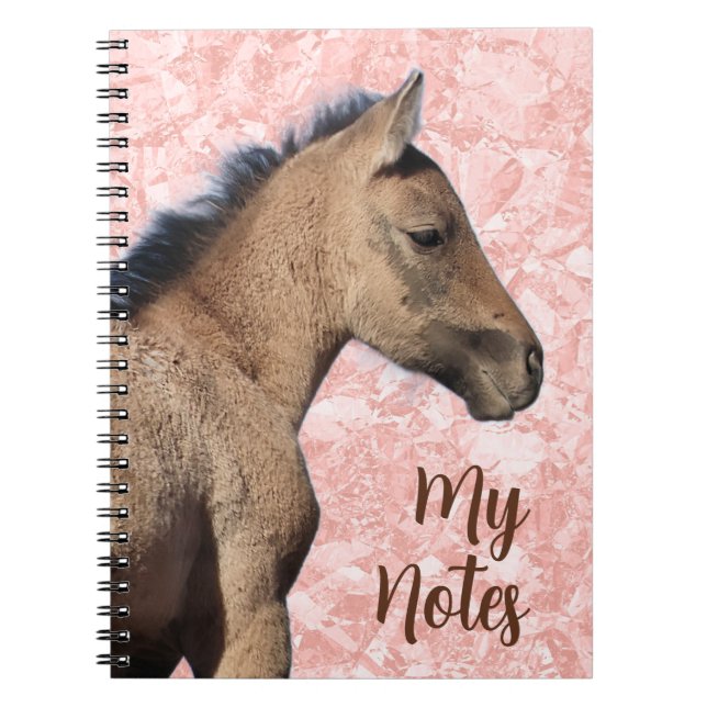 Wild Horse My Notes Notebook (Front)