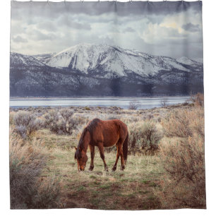 Wild horse: Nevada winter landscape. Shower Curtain