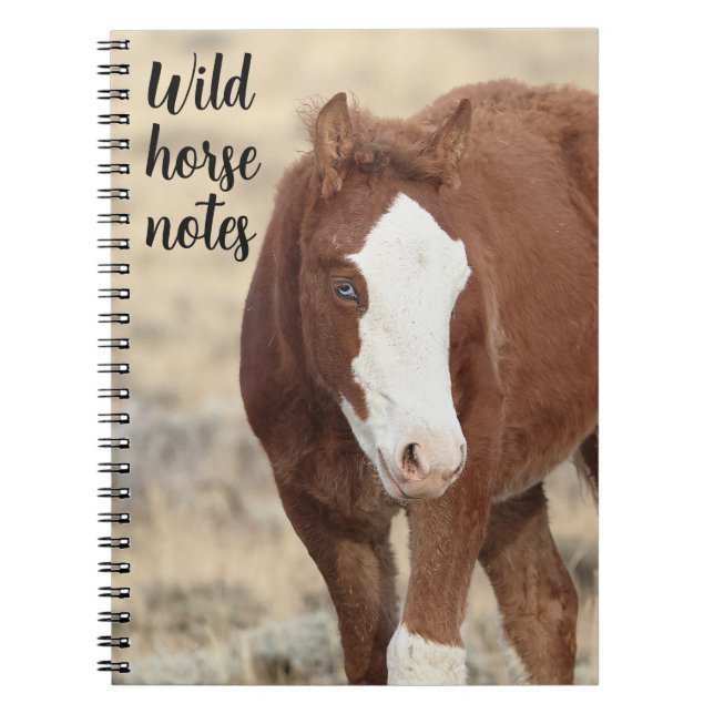 Wild Horse Notes Notebook (Front)