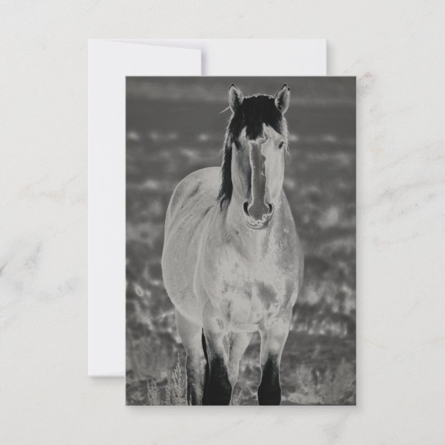 WILD HORSE OF UTAH Flat Greeting Card (Front)