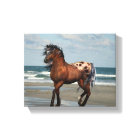 Wild Horse On The Beach Canvas Print