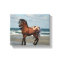 Wild Horse On The Beach Canvas Print
