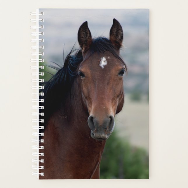 Wild Horse Planner (Front)