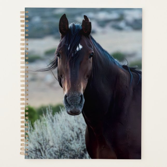 Wild Horse Planner (Front)