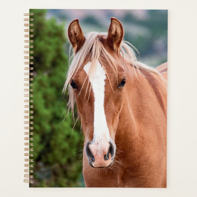 Wild Horse Planner (Front)