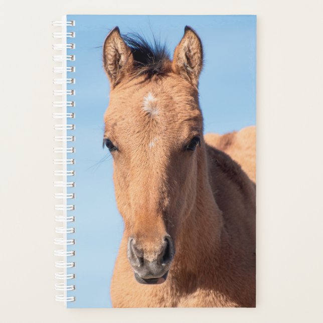 Wild Horse Planner (Front)