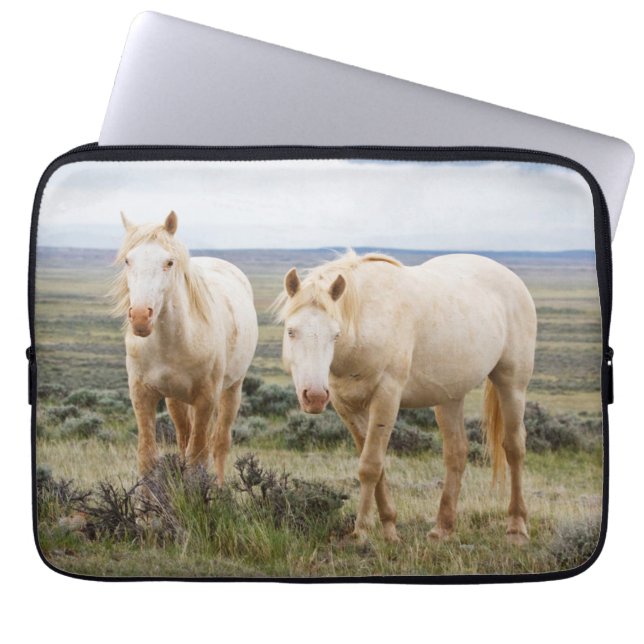 Wild Horse Roaming on the Priaire of Cody Laptop Sleeve (Front)
