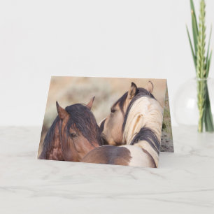 Wild Horse Secrets Wild Horse Greeting Card