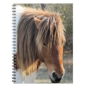 wild horse spiral notebook