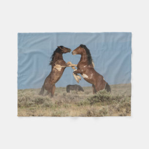 Wild Horse Stallions Fighting Fleece Blanket