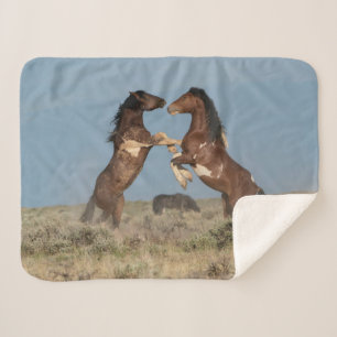 Wild Horse Stallions Fighting Sherpa Blanket