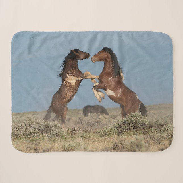 Wild Horse Stallions Fighting Sherpa Blanket (Front (Horizontal))