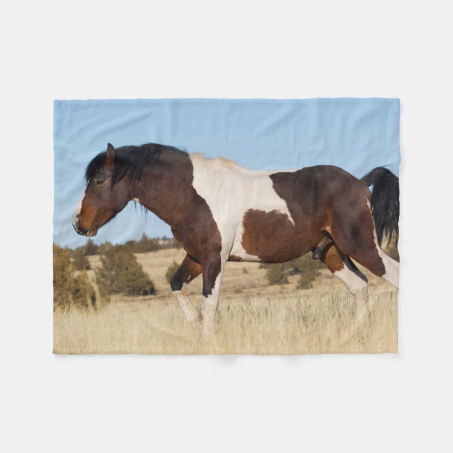 Wild Horse, Steens Mountains Fleece Blanket (Front (Horizontal))