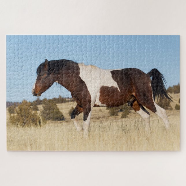 Wild Horse, Steens Mountains Jigsaw Puzzle (Horizontal)