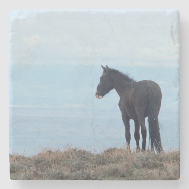Wild Horse  Stone Coaster (Front)