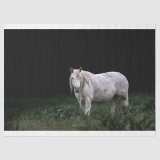 Wild Horse Tissue Paper