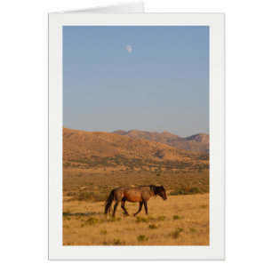 Wild Horse walking home from water hole with moon