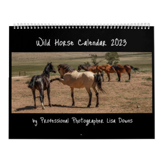 Wild Horses 2023 Calendar