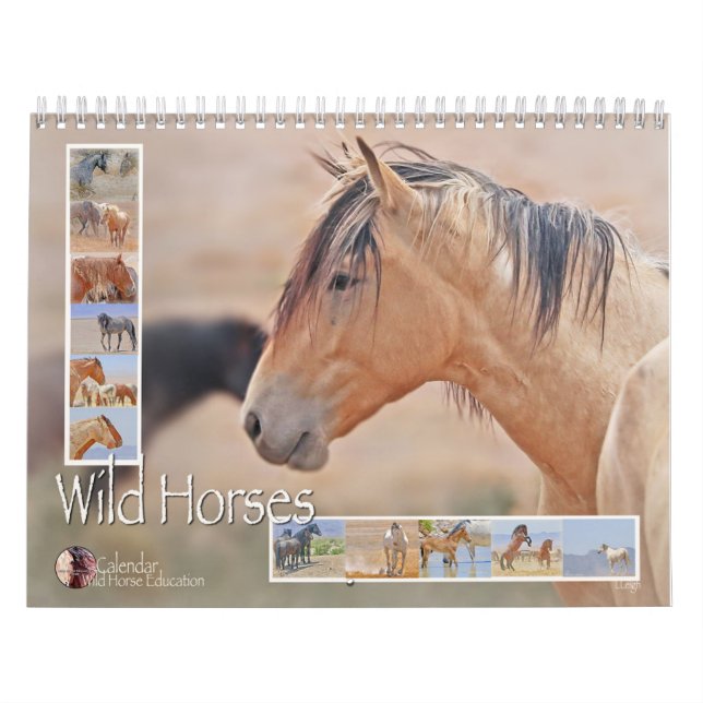 Wild Horses (a calendar) Calendar (Cover)