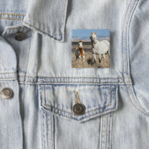 Wild Horses at Home in the Sandwash Basin 15 Cm Square Badge