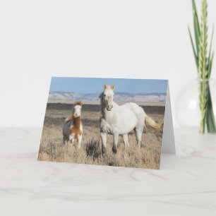 Wild Horses at Home in the Sandwash Basin Card