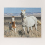 Wild Horses at Home in the Sandwash Basin Jigsaw Puzzle<br><div class="desc">Wild Horses,  mare and foal at home in the Sandwash Basin</div>