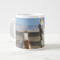 Wild Horses at Home in the Sandwash Basin