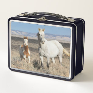 Wild Horses at Home in the Sandwash Basin Metal Lunch Box