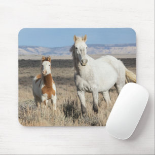Wild Horses at Home in the Sandwash Basin Mouse Pad