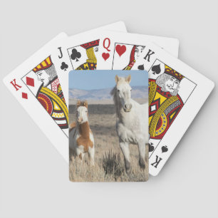 Wild Horses at Home in the Sandwash Basin Playing Cards