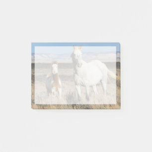 Wild Horses at Home in the Sandwash Basin Post-it Notes