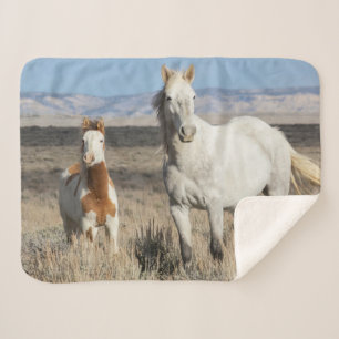 Wild Horses at Home in the Sandwash Basin Sherpa Blanket