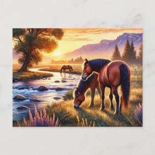 Wild Horses at Sunset  Postcard