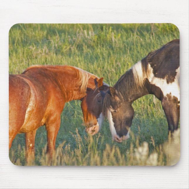 Wild Horses at Theodore Roosevelt National Park Mouse Pad (Front)