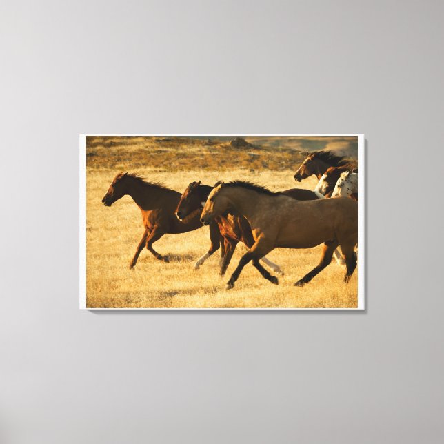 Wild horses canvas print (Front)