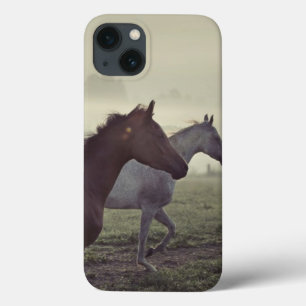 Wild horses iPhone 13 case
