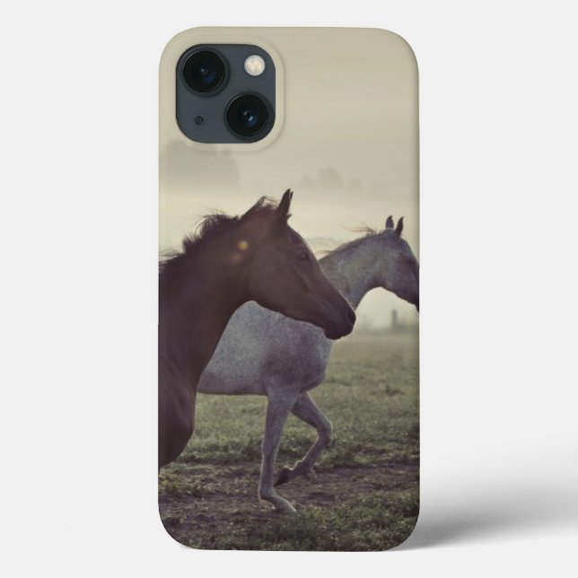 Wild horses Case-Mate iPhone case (Back)